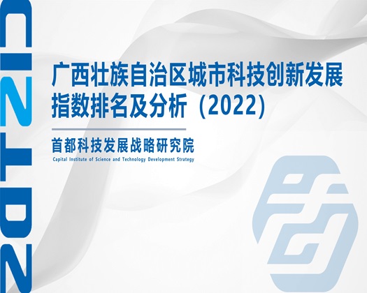 大吊干少妇视频【成果发布】广西壮族自治区城市科技创新发展指数排名及分析（2022）